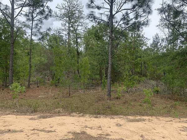 0.22 Acres of Residential Land for Sale in Interlachen, Florida