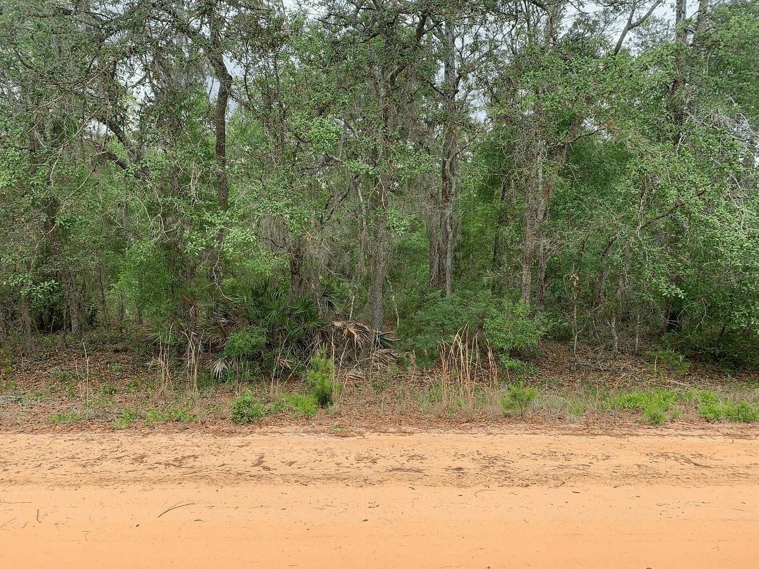 0.22 Acres of Residential Land for Sale in Interlachen, Florida