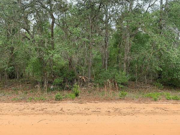 0.22 Acres of Residential Land for Sale in Interlachen, Florida