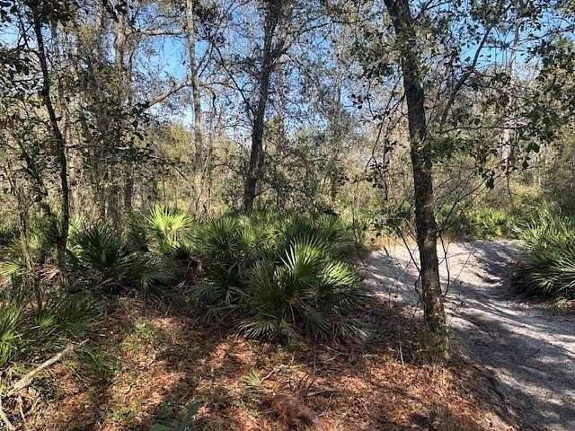 1.25 Acres of Land for Sale in Kathleen, Florida