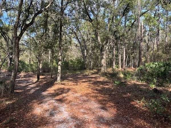 1.27 Acres of Land for Sale in Kathleen, Florida