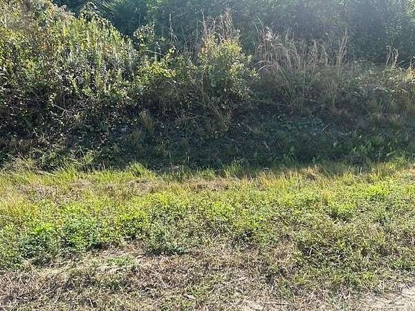 1.25 Acres of Residential Land for Sale in Okeechobee, Florida