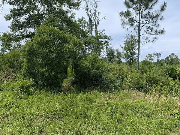 1.27 Acres of Land for Sale in Kathleen, Florida