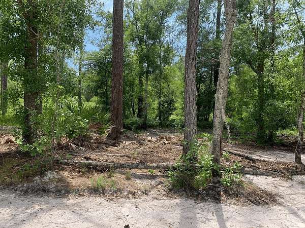 1.27 Acres of Land for Sale in Kathleen, Florida