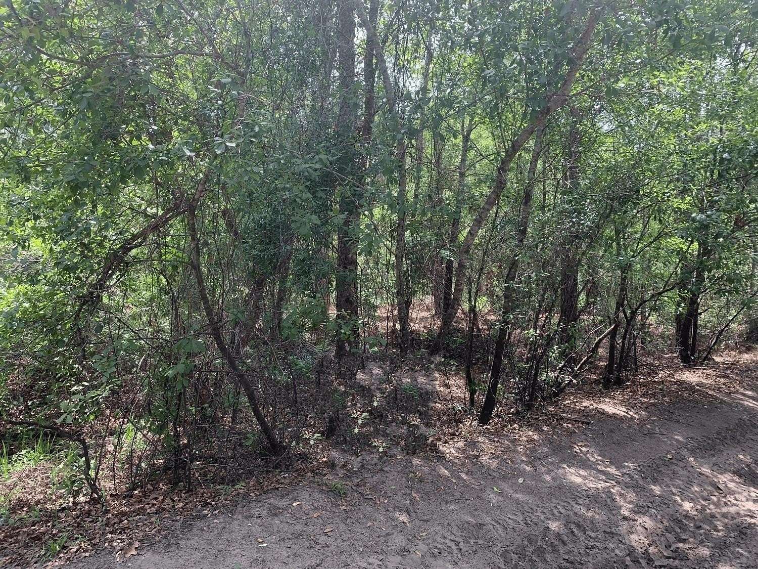 1.27 Acres of Land for Sale in Kathleen, Florida