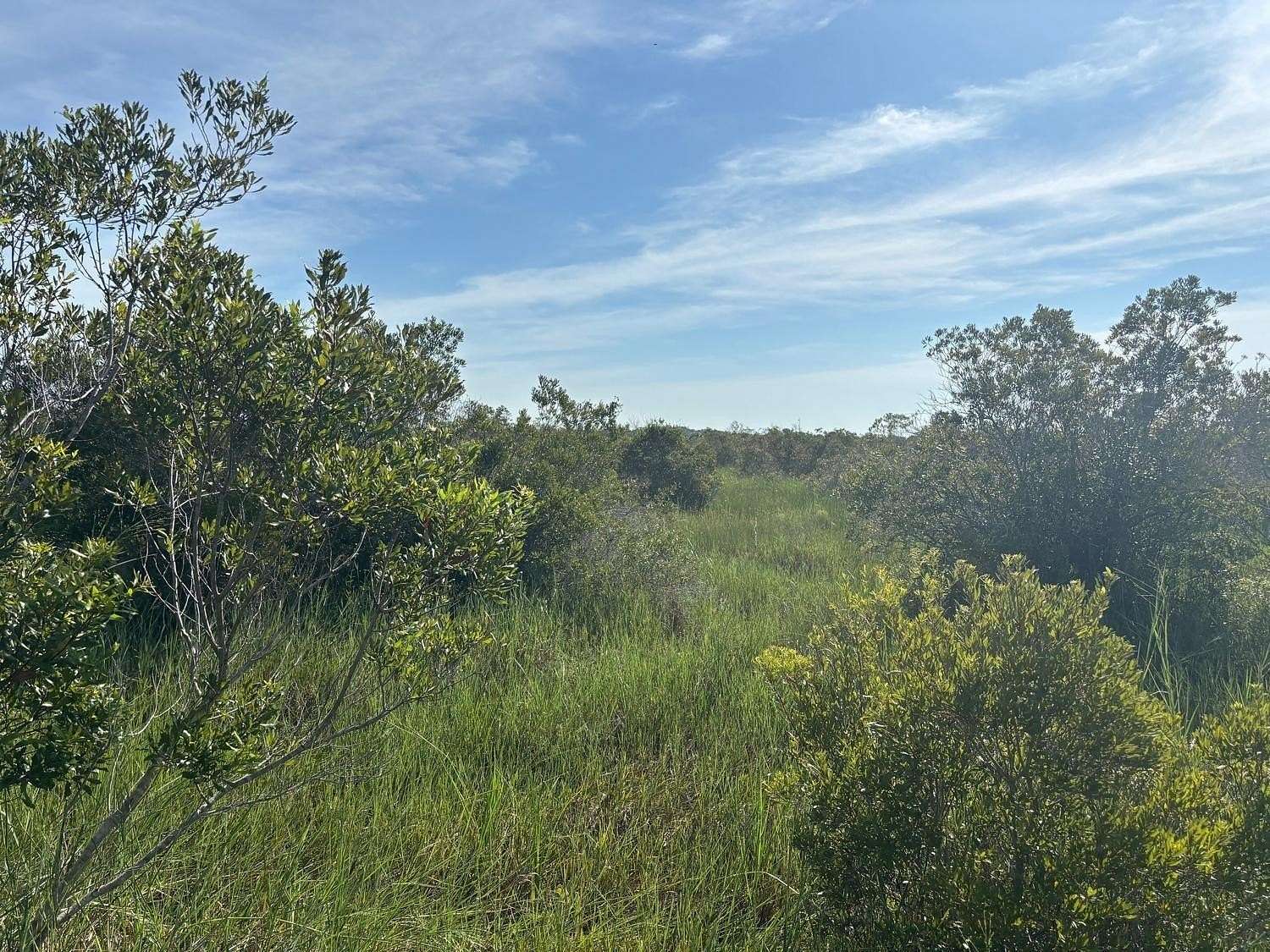 5 Acres of Land for Sale in Okeechobee, Florida