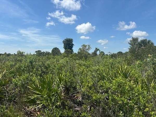 2.5 Acres of Land for Sale in Okeechobee, Florida
