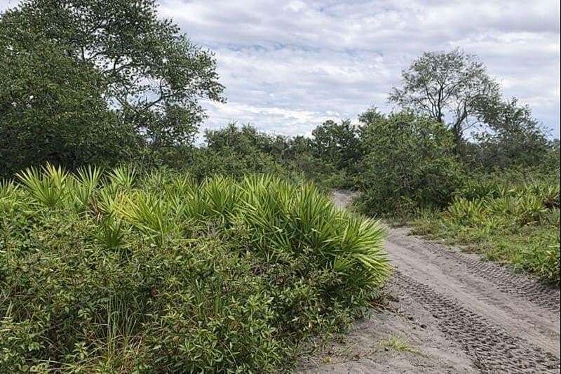 1.25 Acres of Land for Sale in Lake Wales, Florida