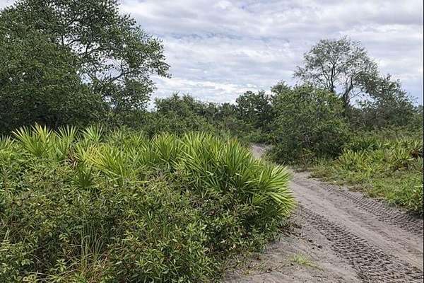 1.25 Acres of Land for Sale in Lake Wales, Florida