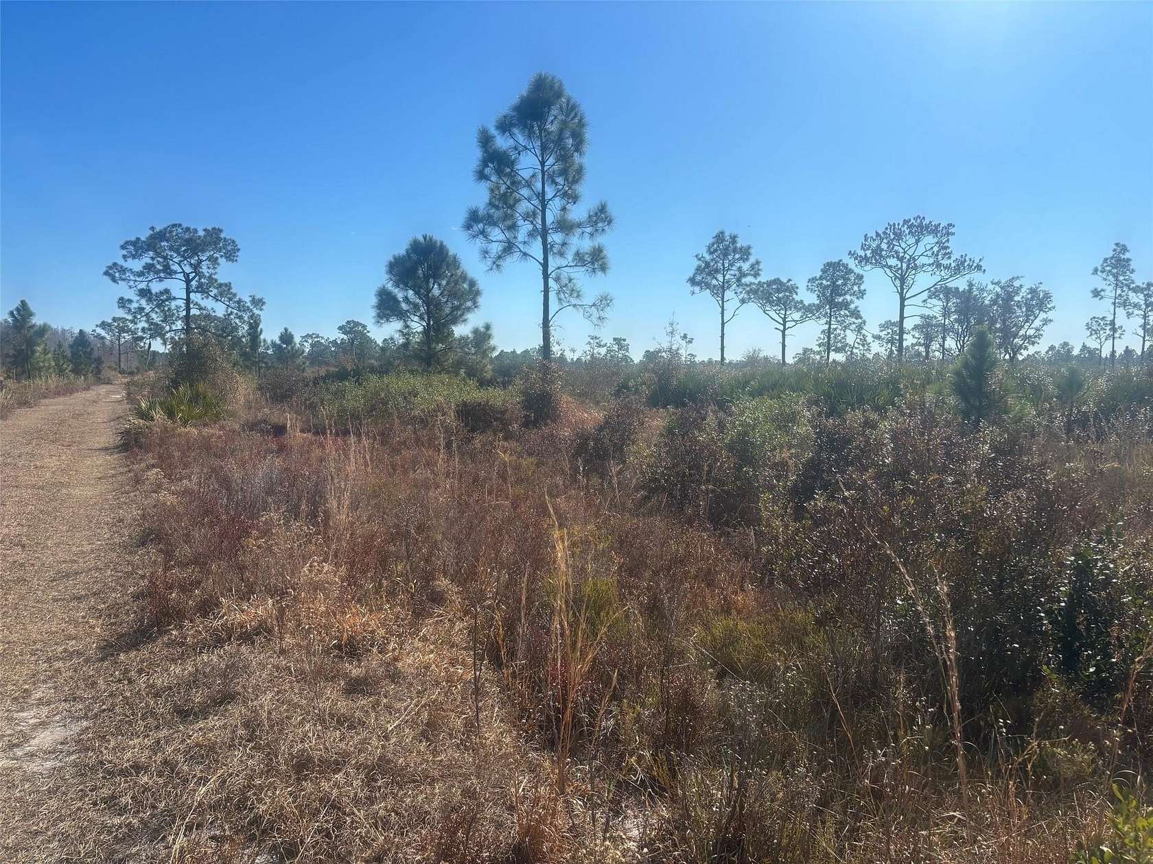 1.25 Acres of Land for Sale in Frostproof, Florida