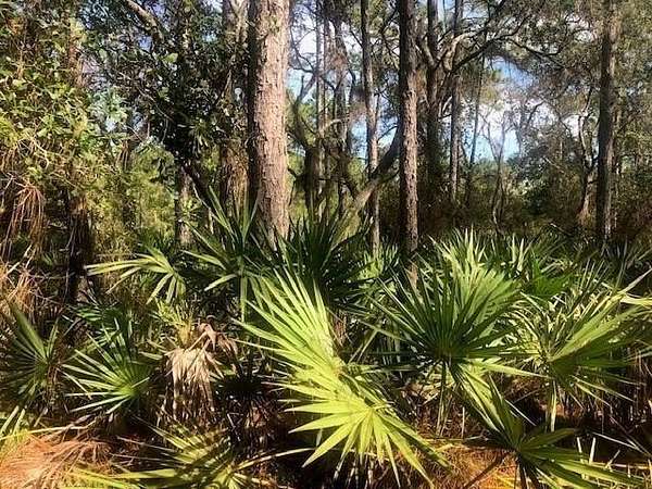 1 Acre of Land for Sale in Polk City, Florida