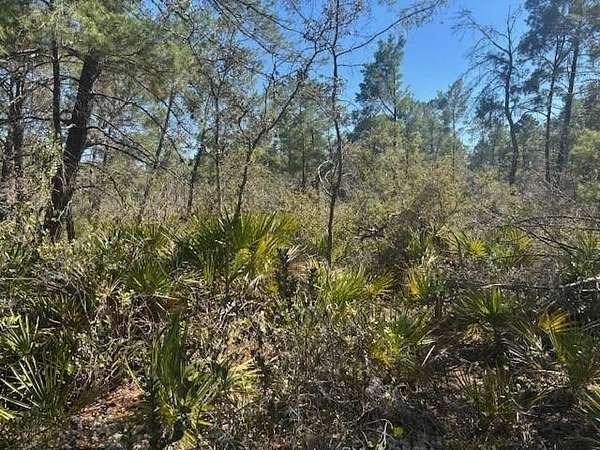 0.23 Acres of Residential Land for Sale in Sebring, Florida