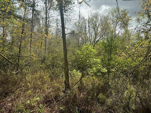 1.26 Acres of Land for Sale in Kathleen, Florida