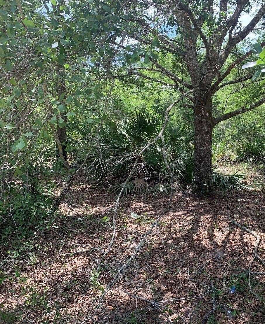 1.27 Acres of Land for Sale in Kathleen, Florida