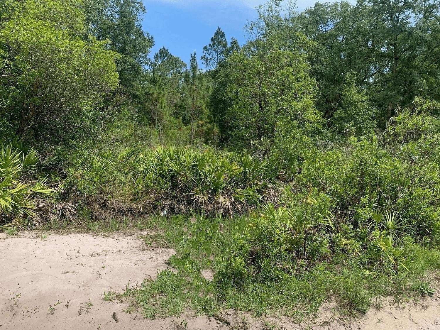 1.27 Acres of Land for Sale in Kathleen, Florida