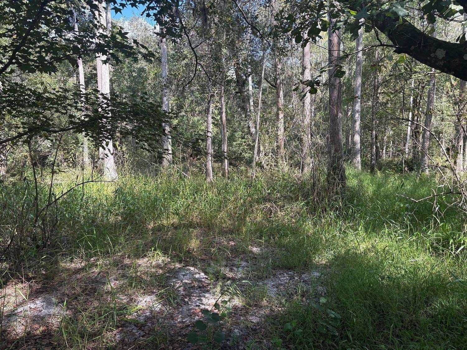 1.27 Acres of Land for Sale in Kathleen, Florida