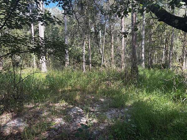 1.27 Acres of Land for Sale in Kathleen, Florida