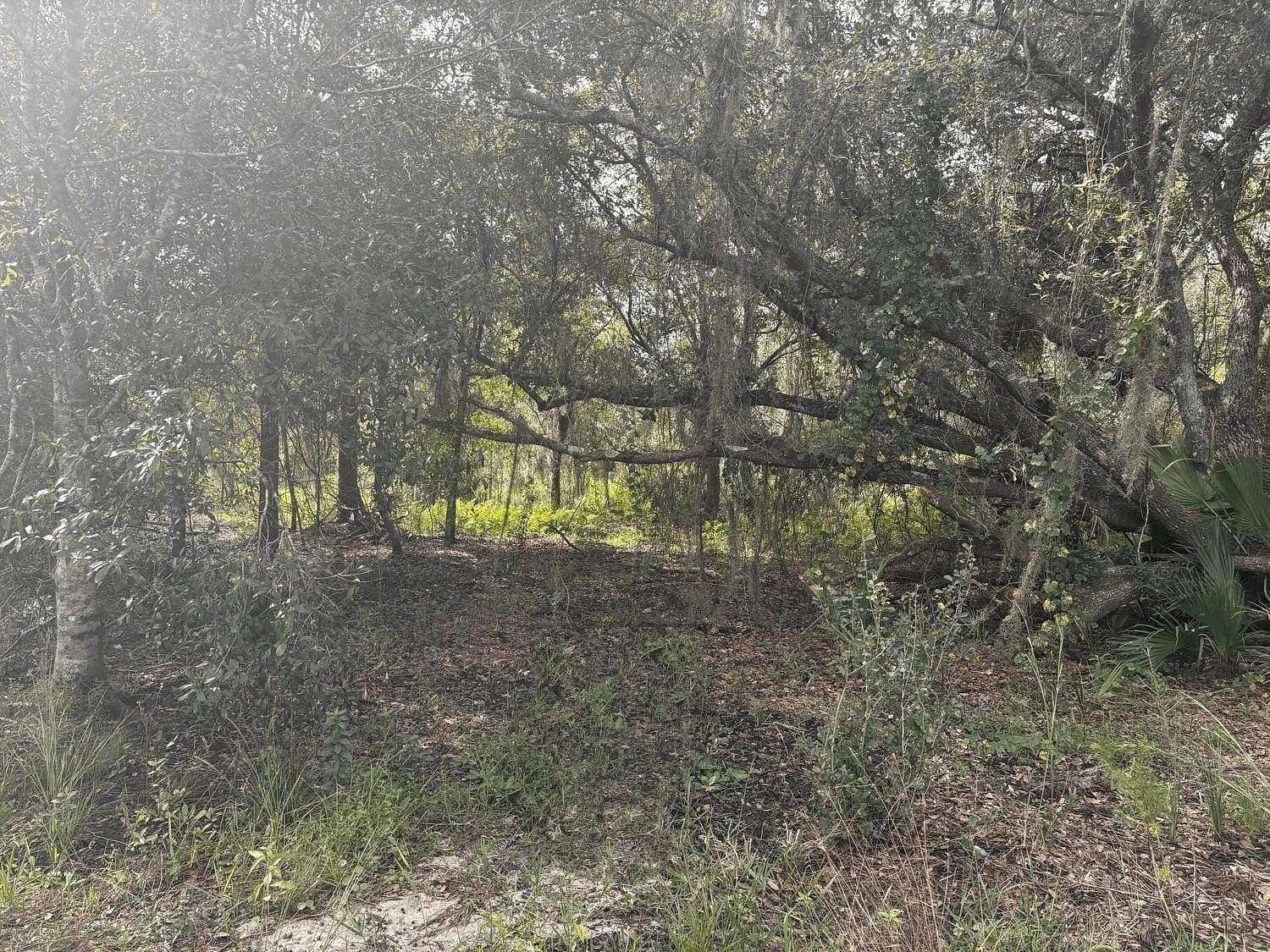 1.26 Acres of Land for Sale in Okeechobee, Florida