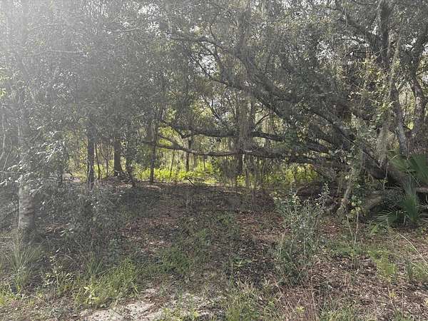 1.26 Acres of Land for Sale in Okeechobee, Florida