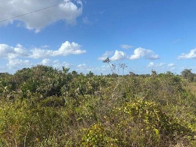 1.25 Acres of Residential Land for Sale in Okeechobee, Florida