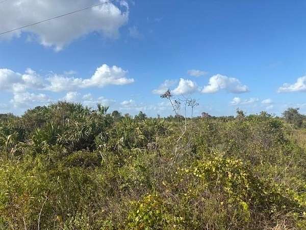 1.25 Acres of Residential Land for Sale in Okeechobee, Florida