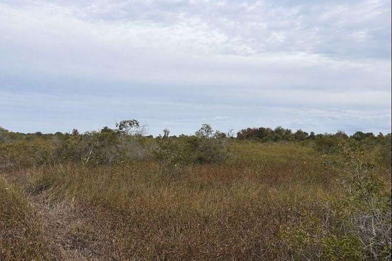 2.5 Acres of Land for Sale in Okeechobee, Florida