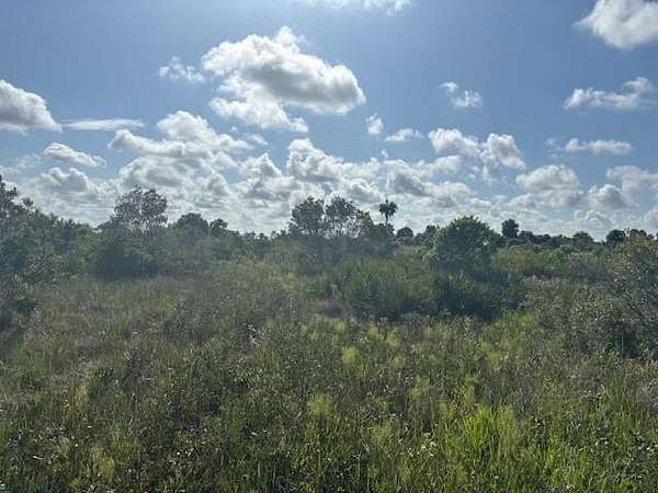 2.5 Acres of Land for Sale in Okeechobee, Florida