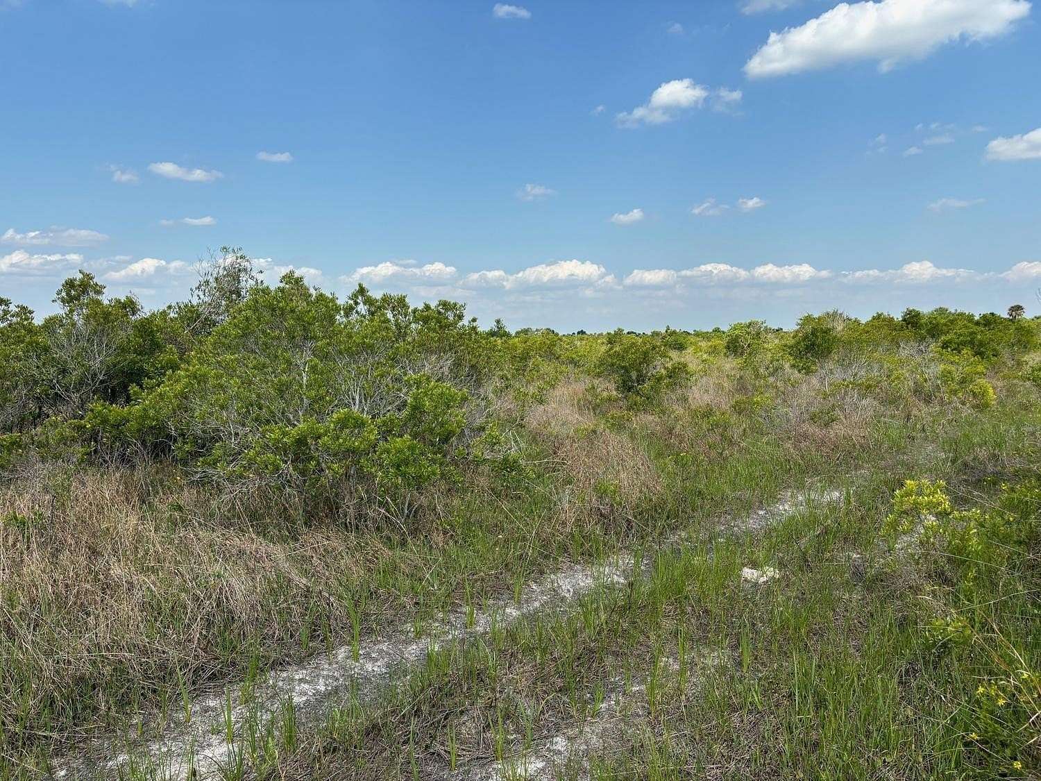 2.5 Acres of Land for Sale in Okeechobee, Florida
