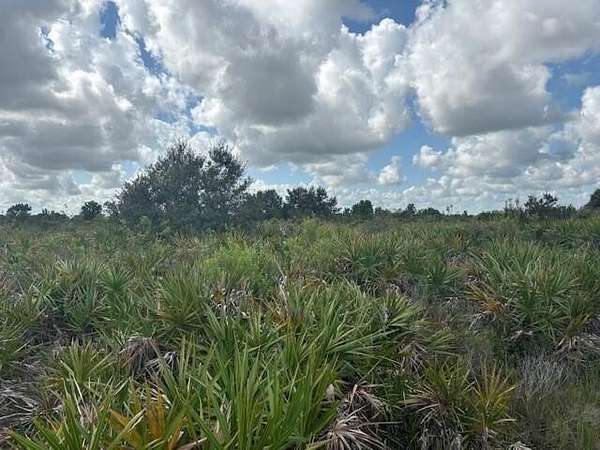 2.5 Acres of Land for Sale in Okeechobee, Florida