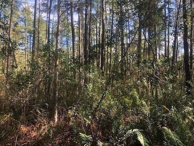 1 Acre of Land for Sale in Polk City, Florida