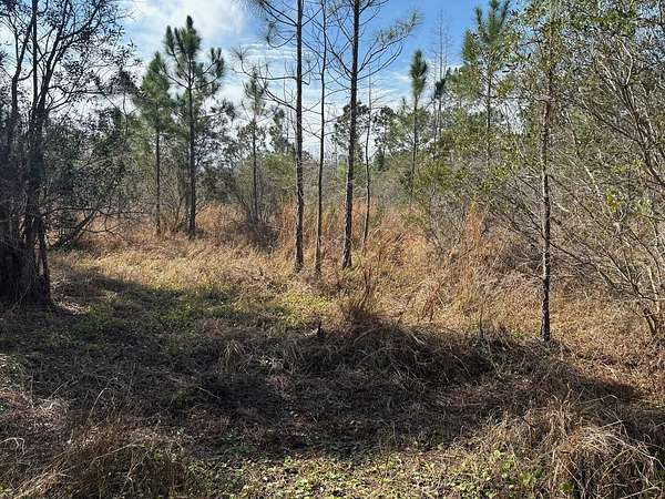 1 Acre of Land for Sale in Polk City, Florida
