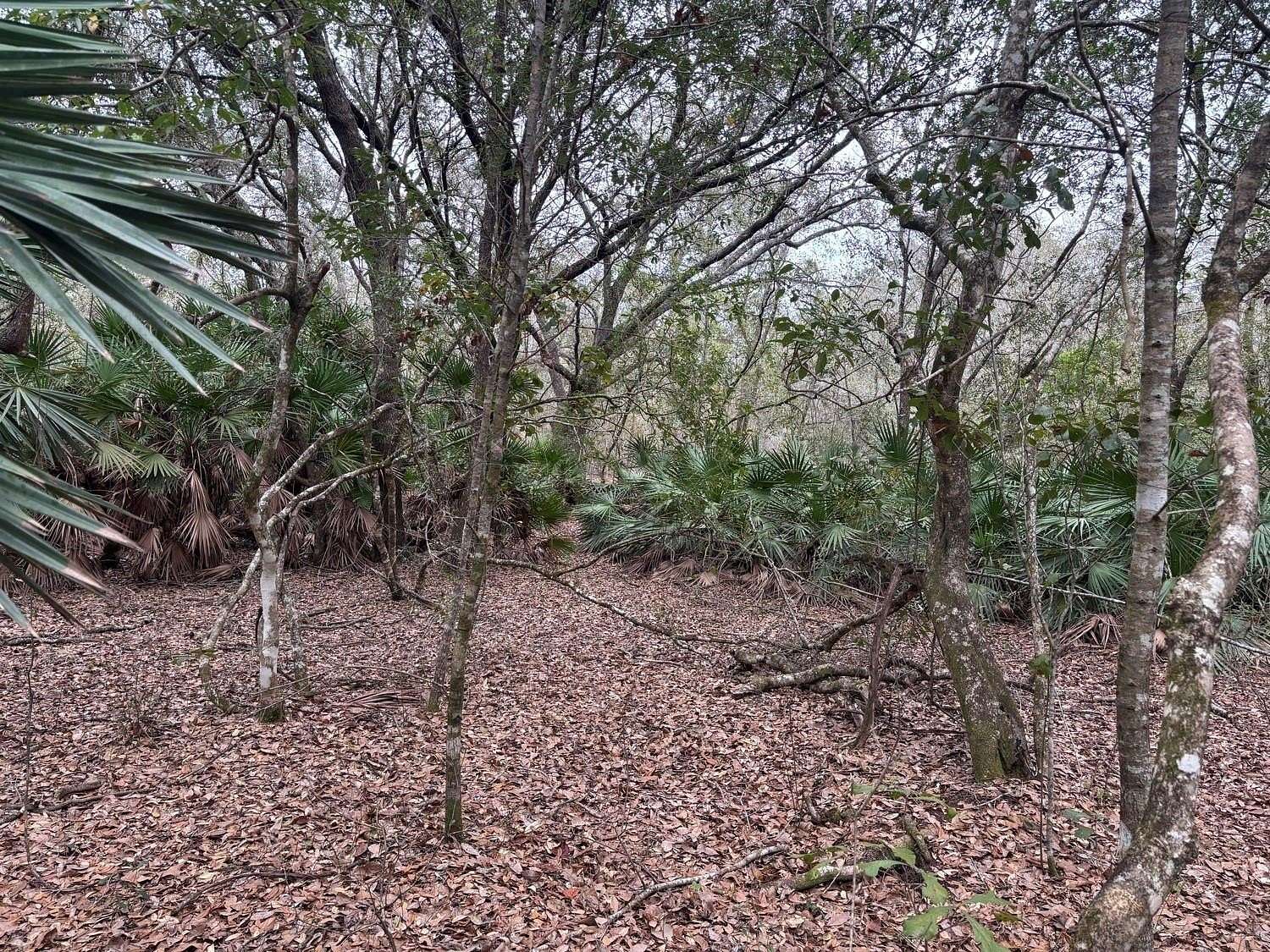 1 Acre of Land for Sale in Polk City, Florida