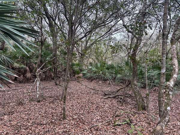 1 Acre of Land for Sale in Polk City, Florida
