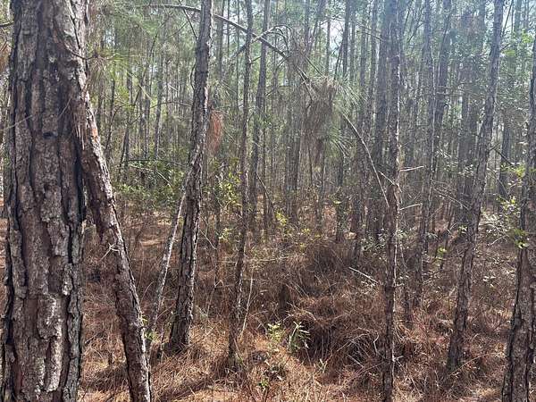 1 Acre of Land for Sale in Polk City, Florida