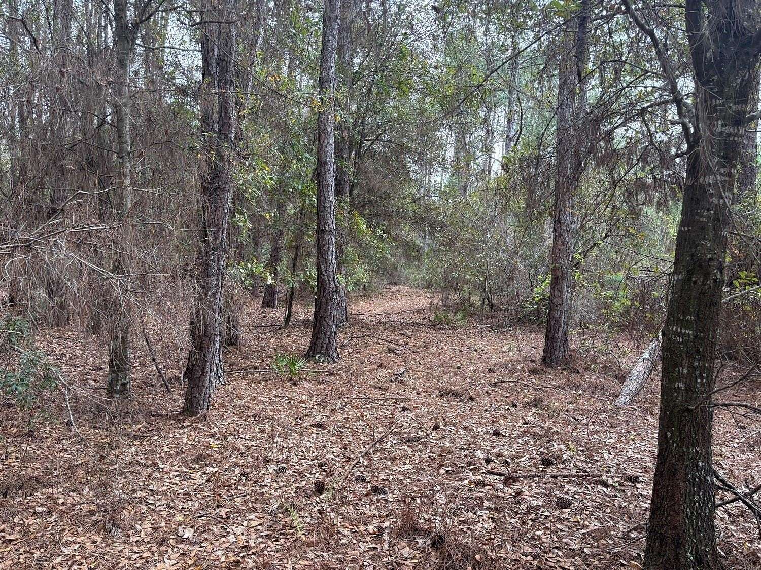 2 Acres of Land for Sale in Polk City, Florida