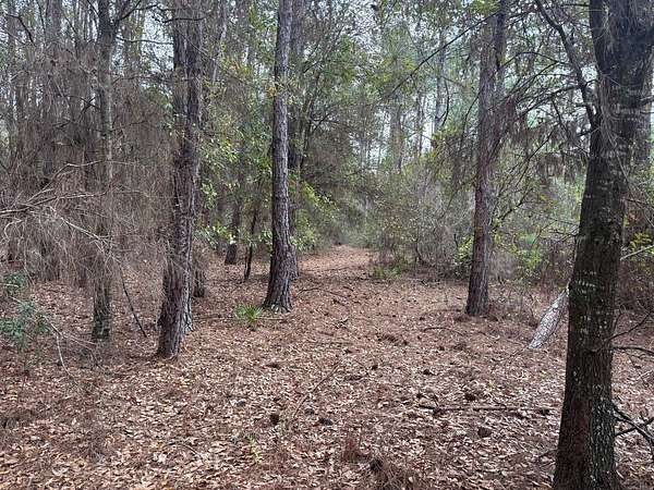 2 Acres of Land for Sale in Polk City, Florida