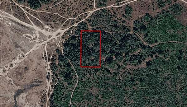 Residential Land for Sale in Okeechobee, Florida