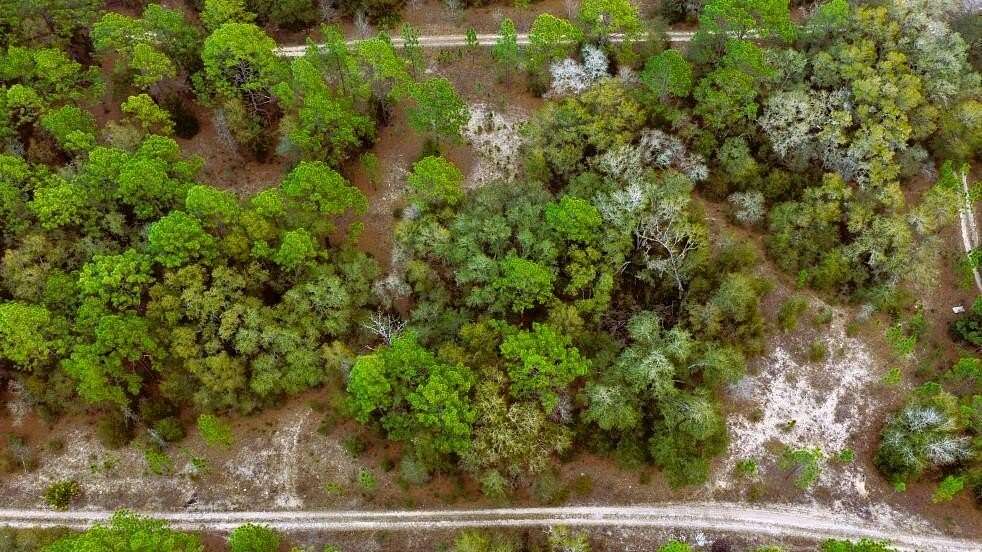 0.25 Acres of Residential Land for Sale in Ocala, Florida