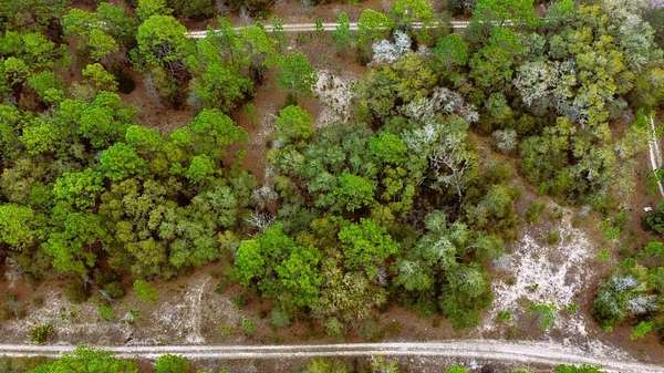 0.25 Acres of Residential Land for Sale in Ocala, Florida