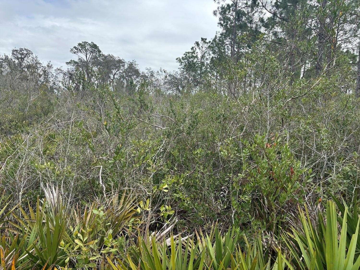 1 Acre of Land for Sale in Polk City, Florida