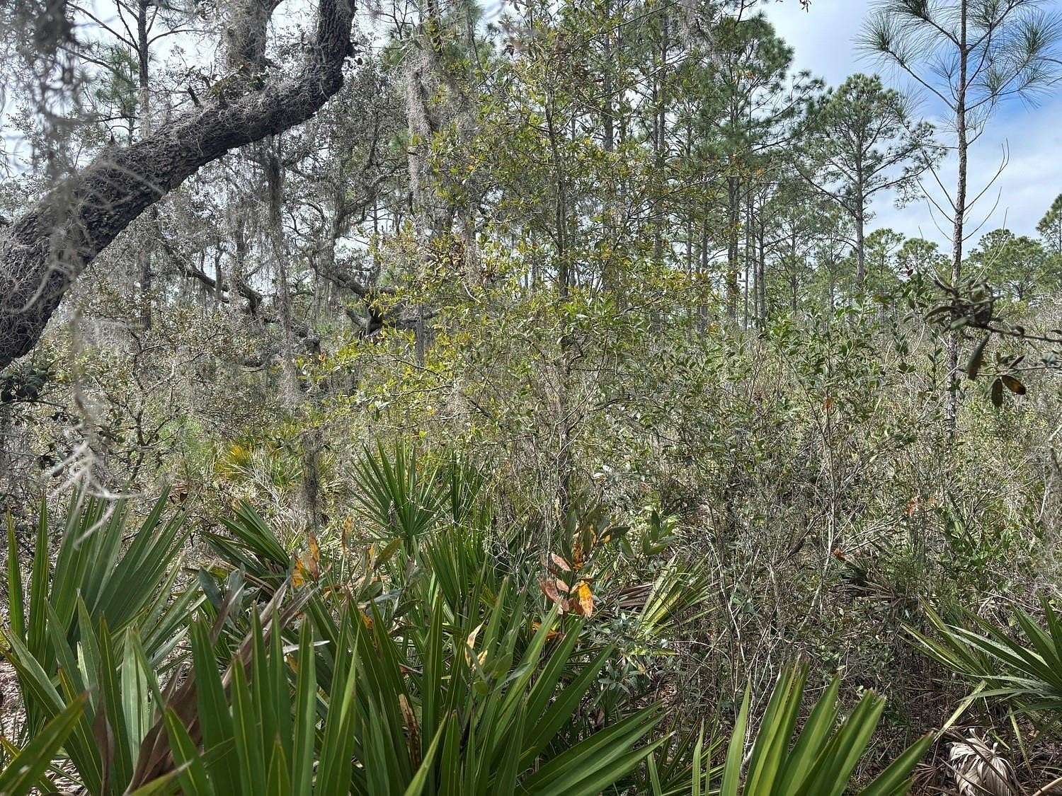 1 Acre of Land for Sale in Polk City, Florida