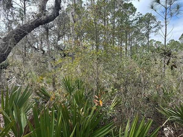 1 Acre of Land for Sale in Polk City, Florida