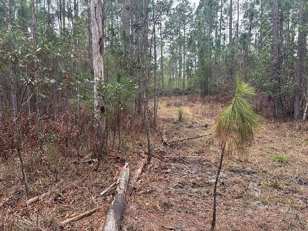 1 Acre of Land for Sale in Polk City, Florida