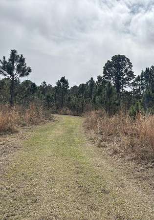 1 Acre of Land for Sale in Polk City, Florida