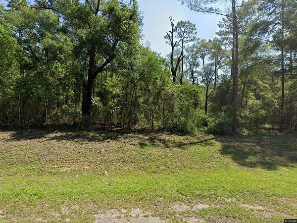 0.49 Acres of Residential Land for Sale in Dunnellon, Florida