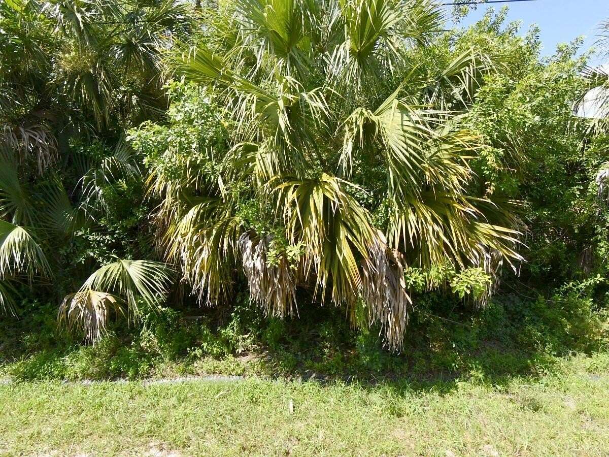0.23 Acres of Residential Land for Sale in Port St. Lucie, Florida
