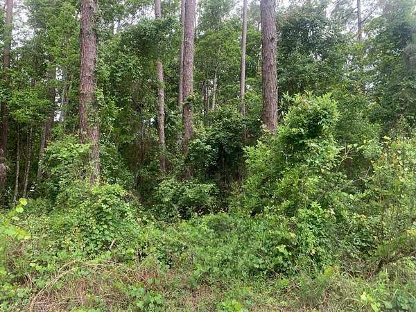 0.26 Acres of Residential Land for Sale in Satsuma, Florida