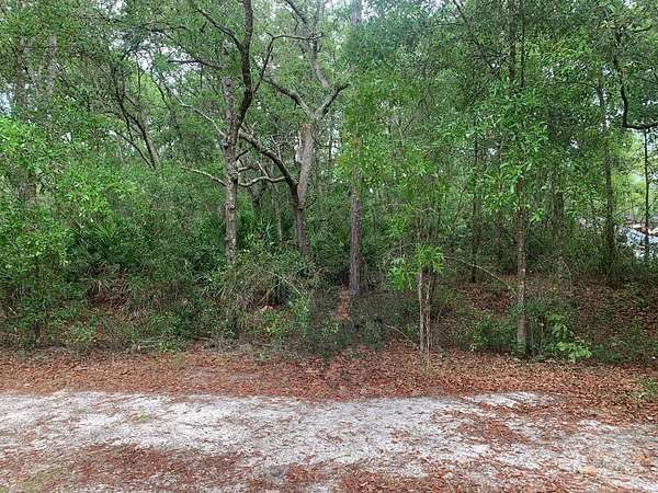 0.25 Acres of Residential Land for Sale in Satsuma, Florida