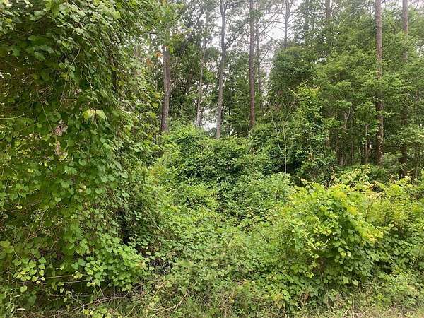 0.25 Acres of Residential Land for Sale in Satsuma, Florida