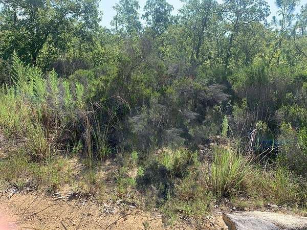 0.22 Acres of Residential Land for Sale in Interlachen, Florida